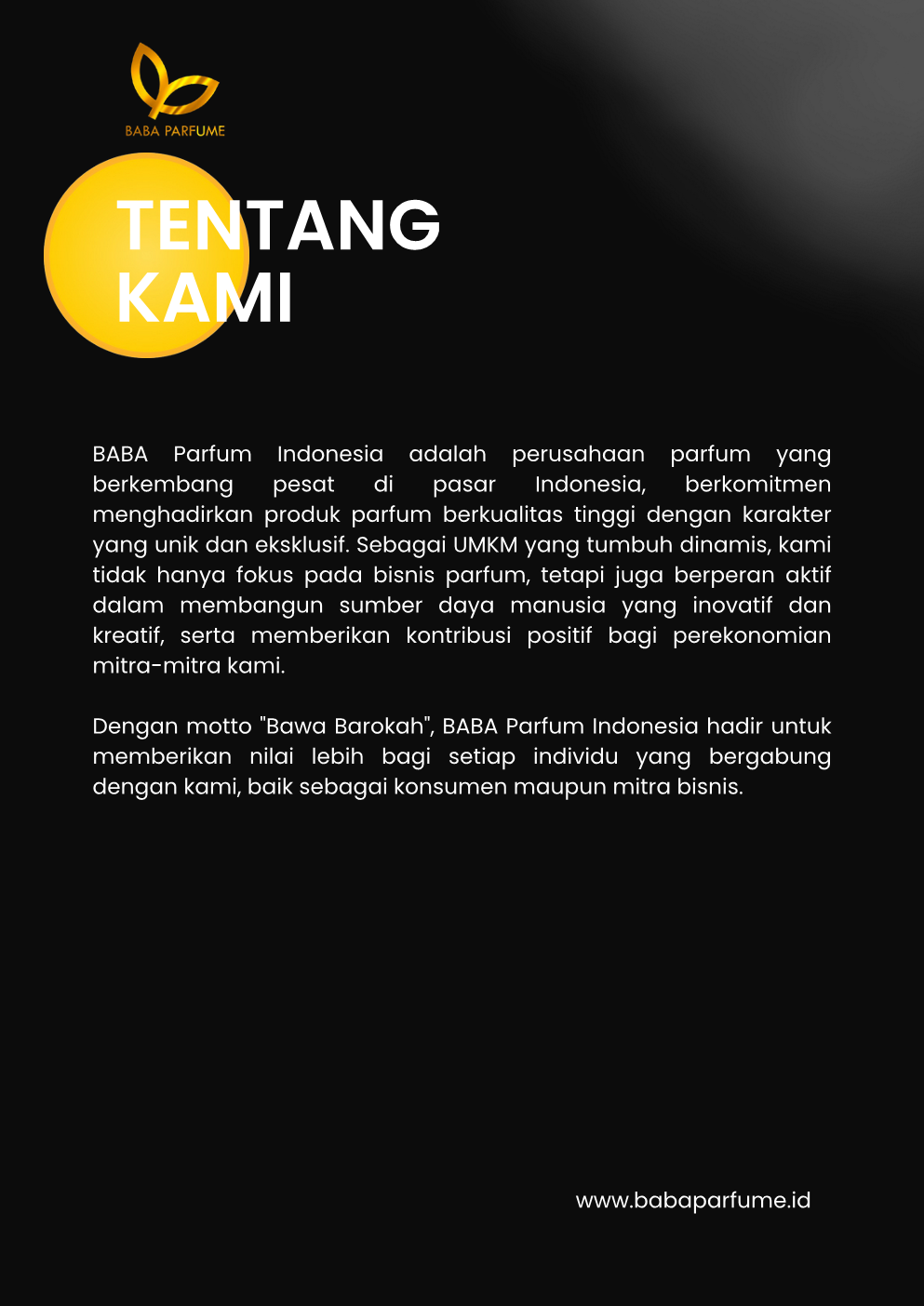 Company Profile 3